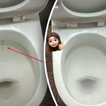 Eén product maakt je toiletpot stralend wit: hoe je tandplak