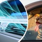 Hittegolf treft Oekraïne: hoe het interieur van de auto snel