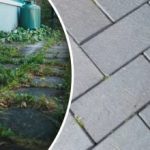 Onkruid in je tuin verdwijnt 's nachts als je het