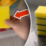 Waarom een spons in de vriezer stoppen: een eenvoudig trucje