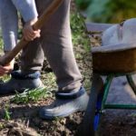 Zaaikalender voor september 2025: wat te doen in de tuin