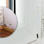 Zwarte schimmel is binnen een paar minuten verdwenen: er is